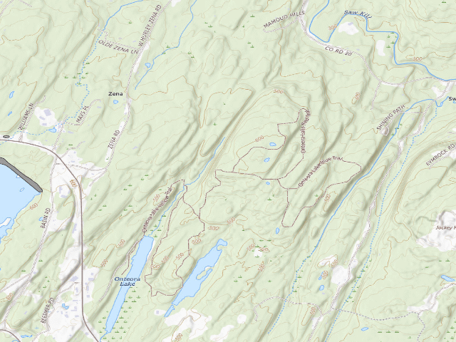 USGS topographic map of Bluestone Wild Forest Tent Site #3 [DEC #228432] (Bluestone Wild Forest)