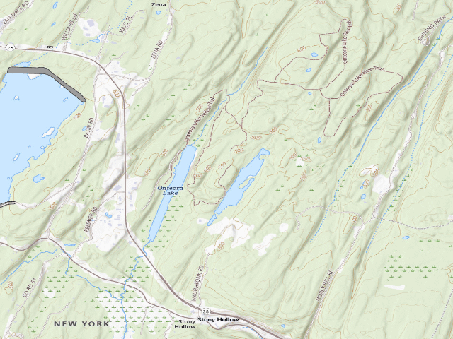 USGS topographic map of Bluestone Wild Forest Tent Site #4 [DEC #228433] (Bluestone Wild Forest)