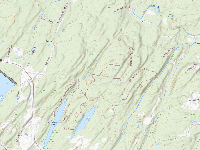 USGS topographic map of Bluestone Wild Forest Tent Site #6 [DEC #228431] (Bluestone Wild Forest)