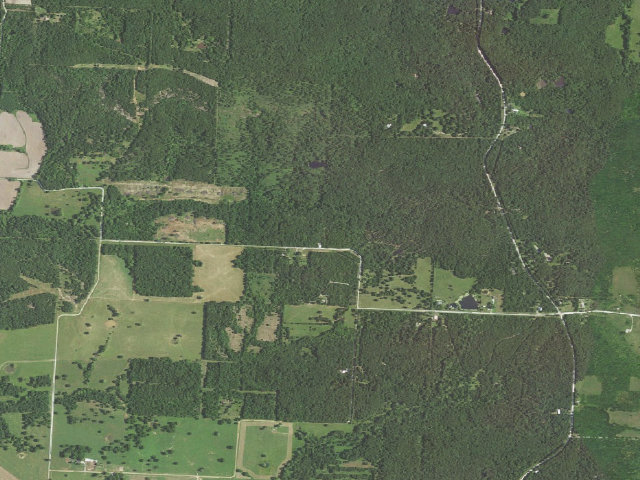 Aerial image of Bluff Springs Conservation Area