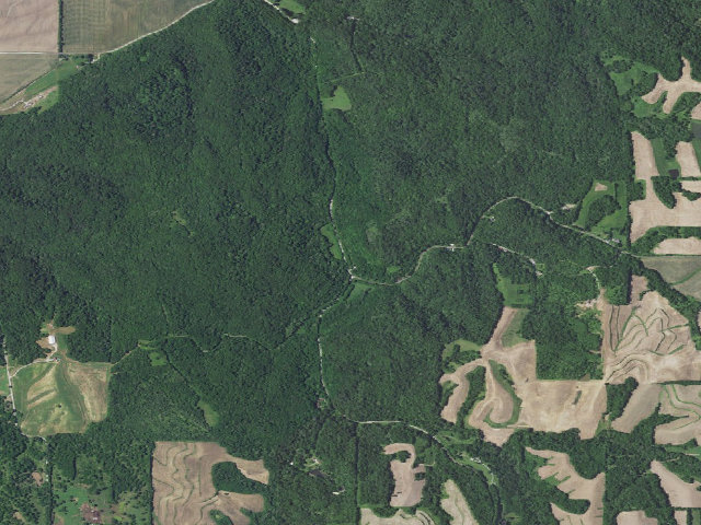 Aerial image of Bluffwoods Conservation Area