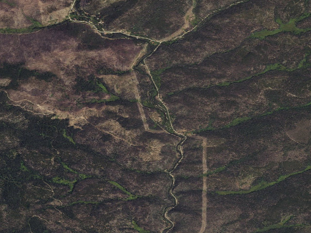 Aerial image of Bobbie Thomson