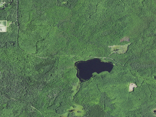 Aerial image of Bobcat Lake Camp
