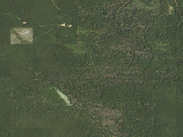 Aerial image of Bodcau Road Primitive Camping
