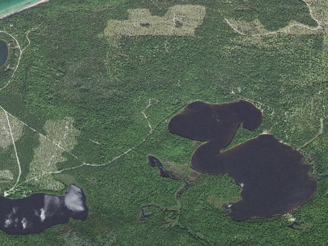 Aerial image of Bodi Lake State Forest Campground