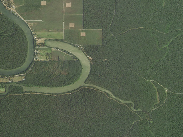 Aerial image of Boeuf WMA primitive camping area 1