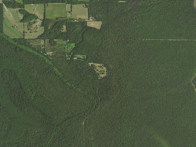 Aerial image of Boeuf WMA primitive camping area 2
