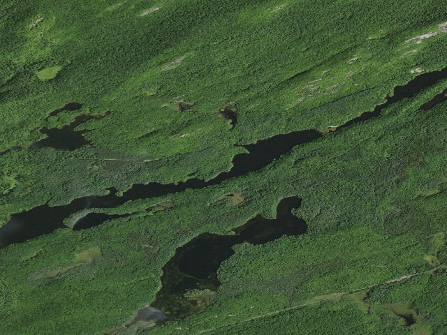 Aerial image of Bog River Flow Campsite 11 [DEC #3286] (Eastern Five Ponds Access Primitive Area)