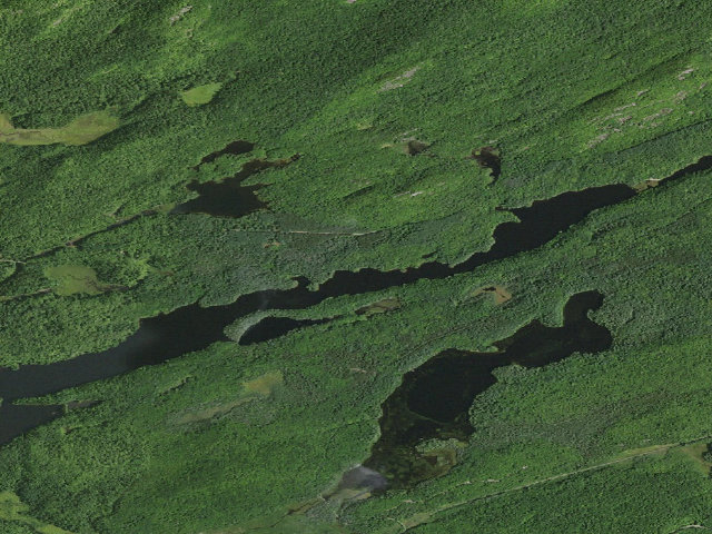 Aerial image of Bog River Flow Campsite 12 [DEC #3288] (Eastern Five Ponds Access Primitive Area)