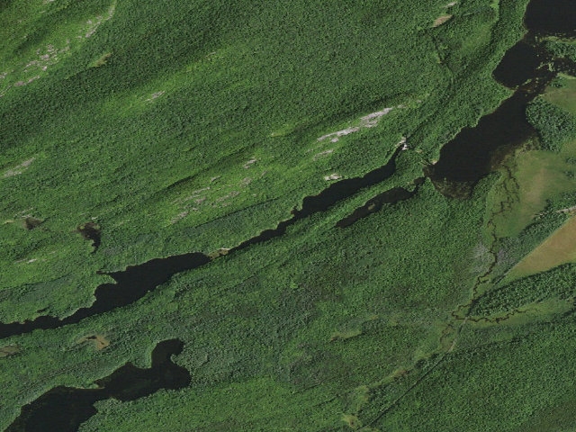 Aerial image of Bog River Flow Campsite 9 [DEC #3289] (Eastern Five Ponds Access Primitive Area)