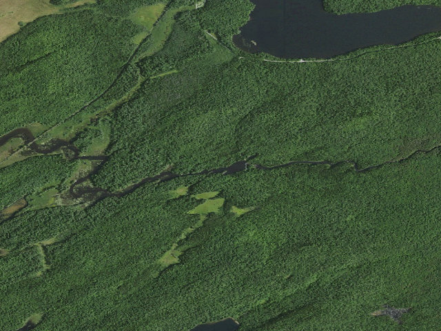 Aerial image of Bog River Primitive Campsite 1 [DEC #3401] (Bog River Complex, lower Bog River)