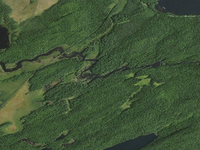 Aerial image of Bog River Primitive Campsite 2 [DEC #3402] (Bog River Complex, lower Bog River)