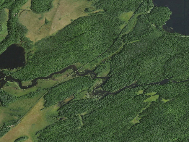 Aerial image of Bog River Primitive Campsite 3 [DEC #3403] (Bog River Complex, lower Bog River)