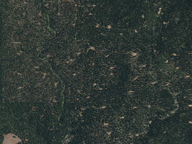 Aerial image of Bogard