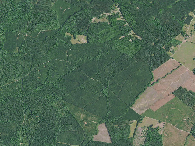 Aerial image of Boggy Campground
