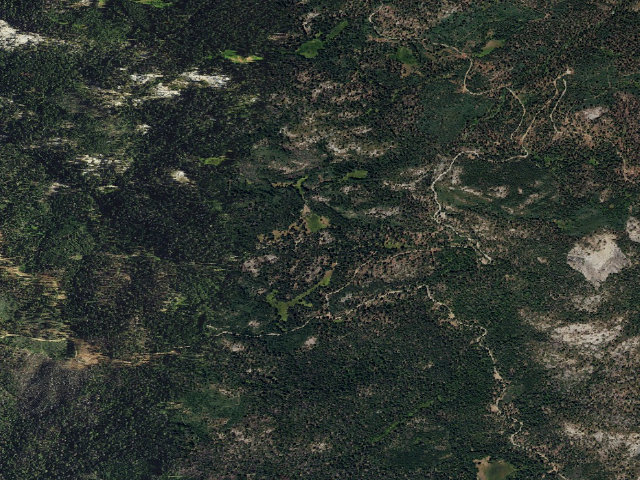 Aerial image of Boggy Meadow 1