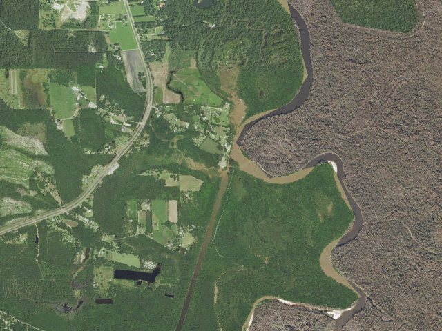 Aerial image of Bogue Chitto NWR riverbank primitive camping (Pools Bluff boat ramp access)