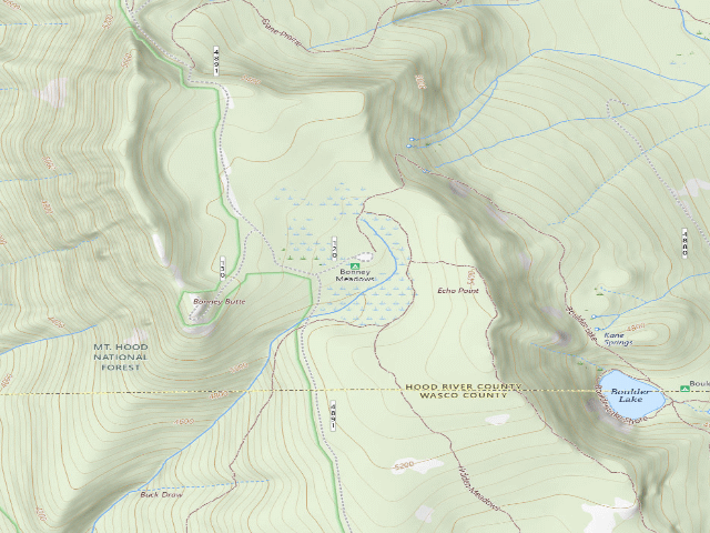 USGS topographic map of Bonney Meadows