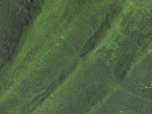 Aerial image of Boones Run Massanutten Shelter