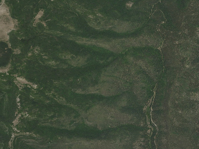 Aerial image of Bosque Campground