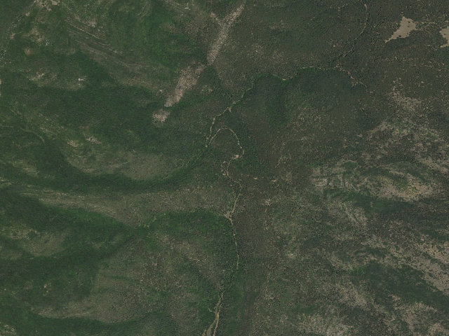 Aerial image of Bosque