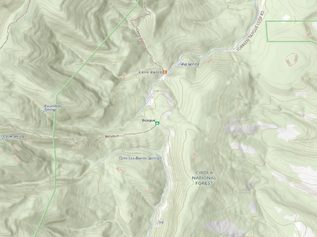 USGS topographic map of Bosque