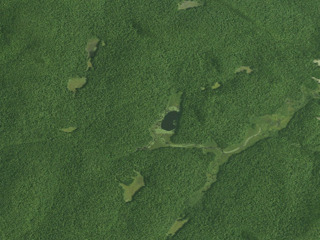 Aerial image of Botherton Pond Campsite (Siamese Ponds Wilderness)