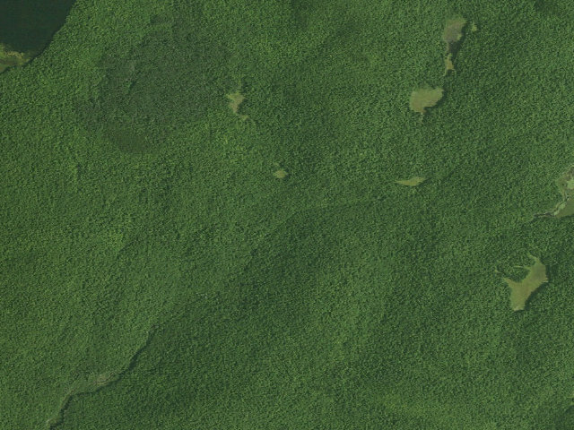 Aerial image of Botherton Trail Campsite (Siamese Ponds Wilderness)