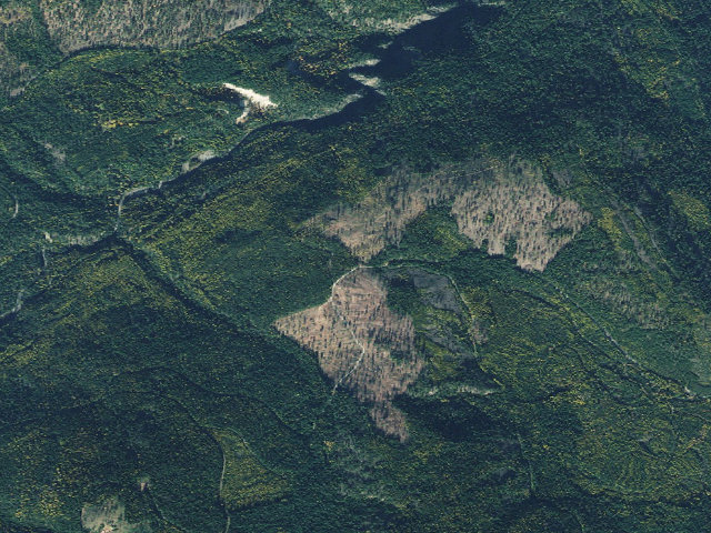 Aerial image of Boulder Creek 08