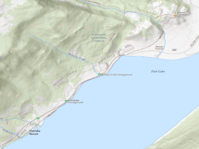 USGS topographic map of Bowery Creek Campground