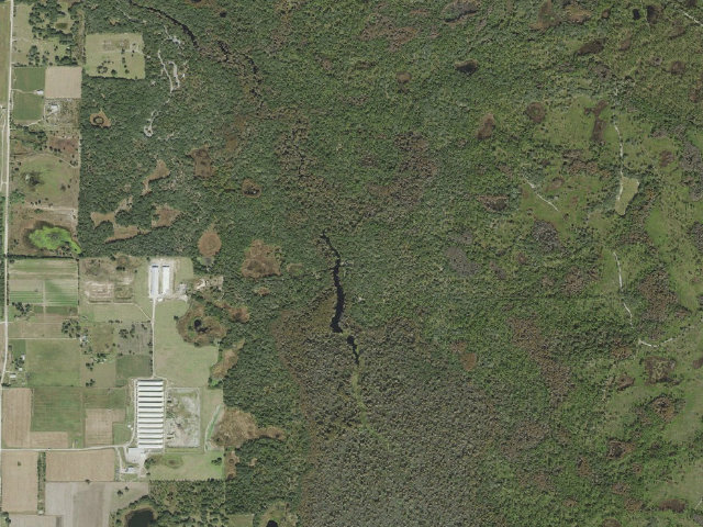 Aerial image of Boy Scout (Green Swamp Wilderness Preserve - West Tract)