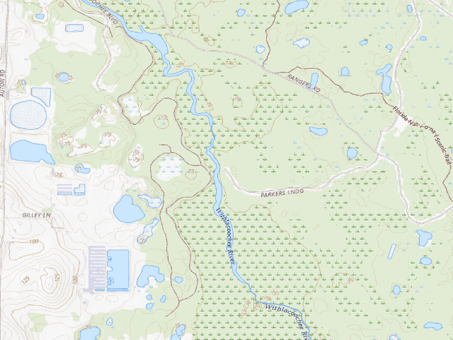 USGS topographic map of Boy Scout (Green Swamp Wilderness Preserve - West Tract)