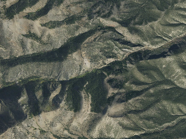 Aerial image of Boy Scout