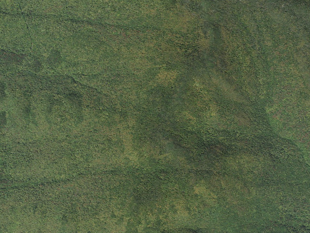 Aerial image of Boyce Shelter