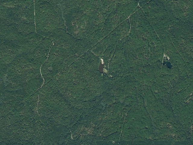 Aerial image of Boykin Springs Recreation Area