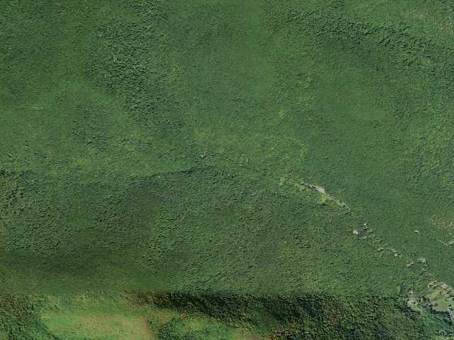 Aerial image of Bradkin primitive tent site [DEC #228987] (Slide Mountain Wilderness)