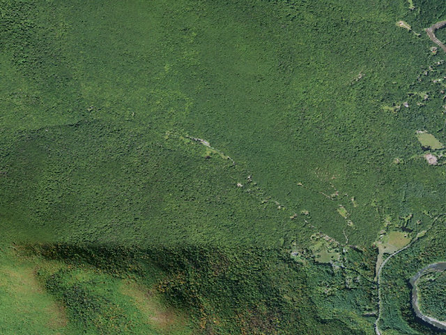 Aerial image of Bradkin primitive tent site [DEC #228988] (Slide Mountain Wilderness)