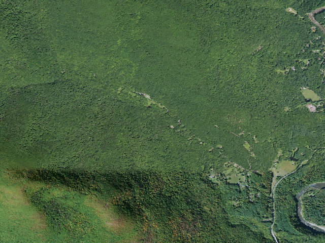 Aerial image of Bradkin primitive tent site [DEC #228989] (Slide Mountain Wilderness)