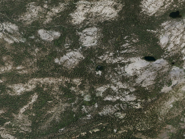 Aerial image of Brewer Lake