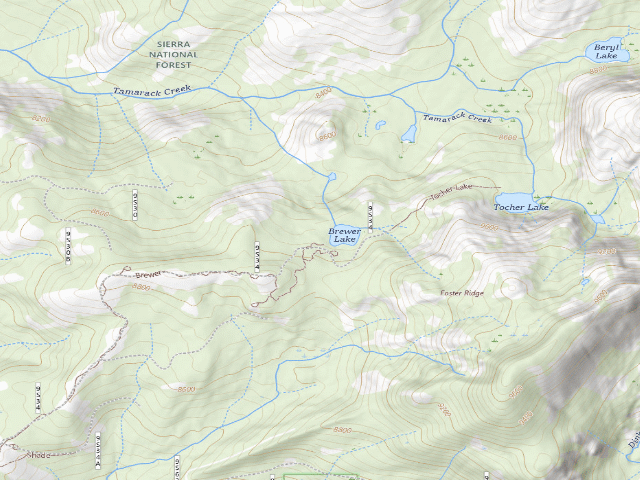 USGS topographic map of Brewer Lake