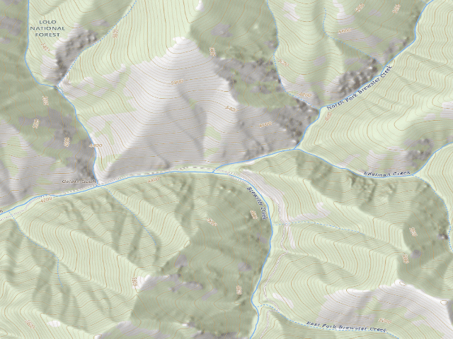USGS topographic map of Brewster Creek Road