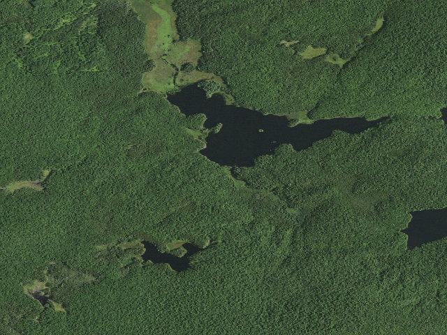 Aerial image of Bridge Brook Pond Campsite 1 (Horseshoe Lake Wild Forest)