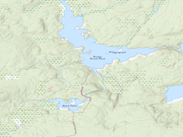 USGS topographic map of Bridge Brook Pond Campsite 1 (Horseshoe Lake Wild Forest)