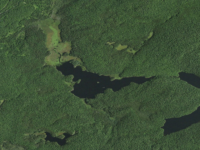 Aerial image of Bridge Brook Pond Campsite 2 (Horseshoe Lake Wild Forest)