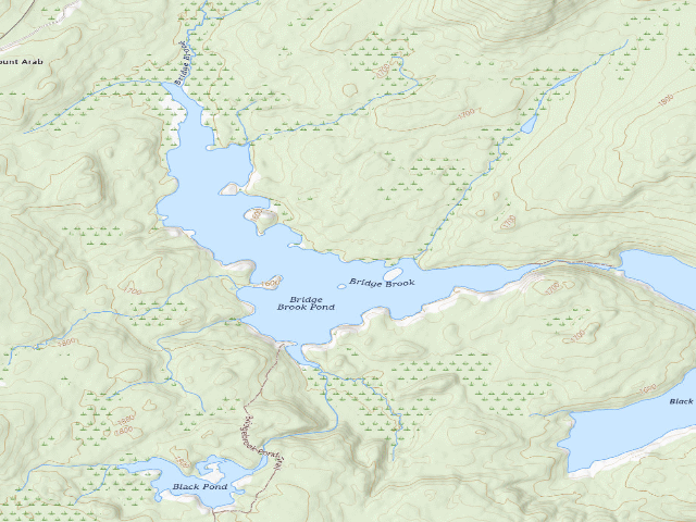 USGS topographic map of Bridge Brook Pond Campsite 2 (Horseshoe Lake Wild Forest)
