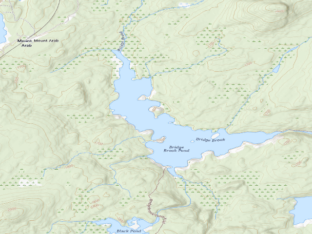 USGS topographic map of Bridge Brook Pond Campsite 3 (Horseshoe Lake Wild Forest)