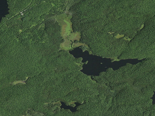 Aerial image of Bridge Brook Pond Campsite 4 (Horseshoe Lake Wild Forest)