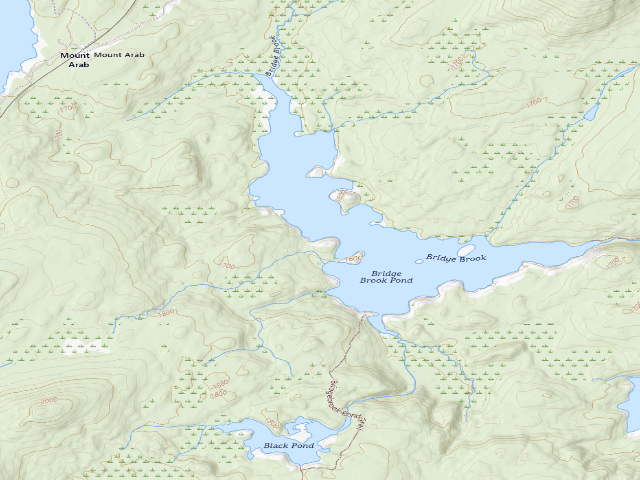 USGS topographic map of Bridge Brook Pond Campsite 4 (Horseshoe Lake Wild Forest)