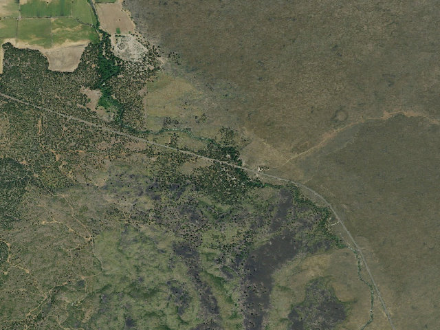 Aerial image of Bridge