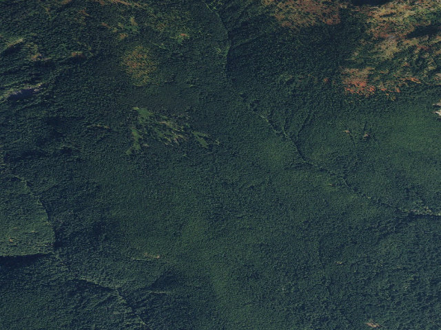 Aerial image of Bridge Creek